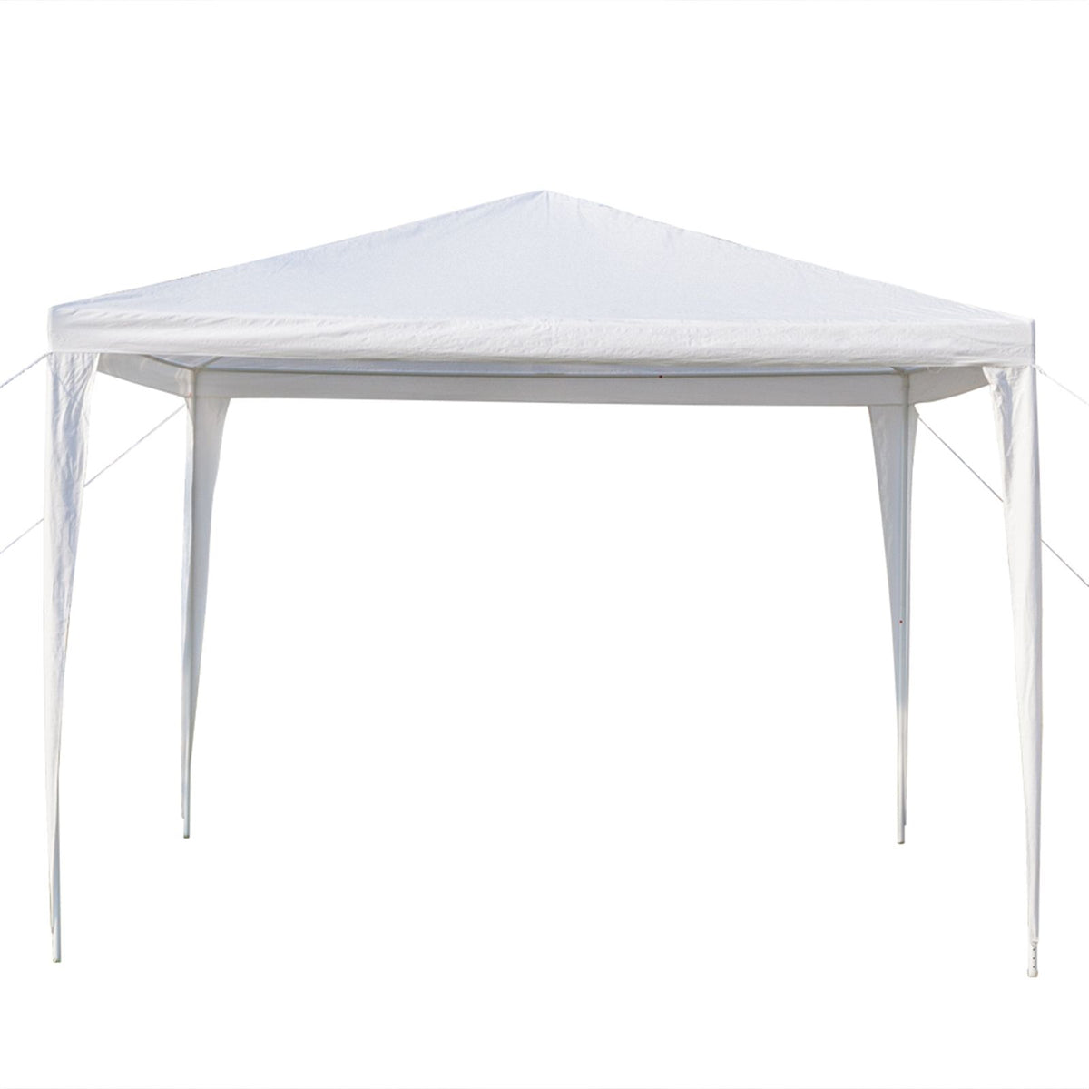 565365621